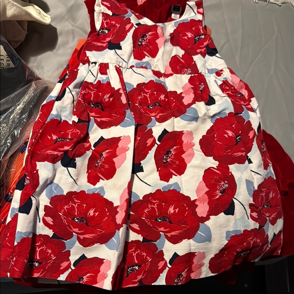 Floral Red and White Dress Janie jack dress